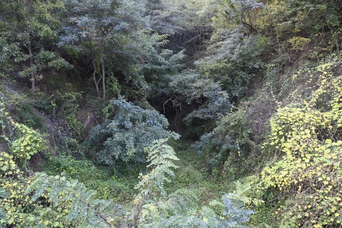 121.jpg