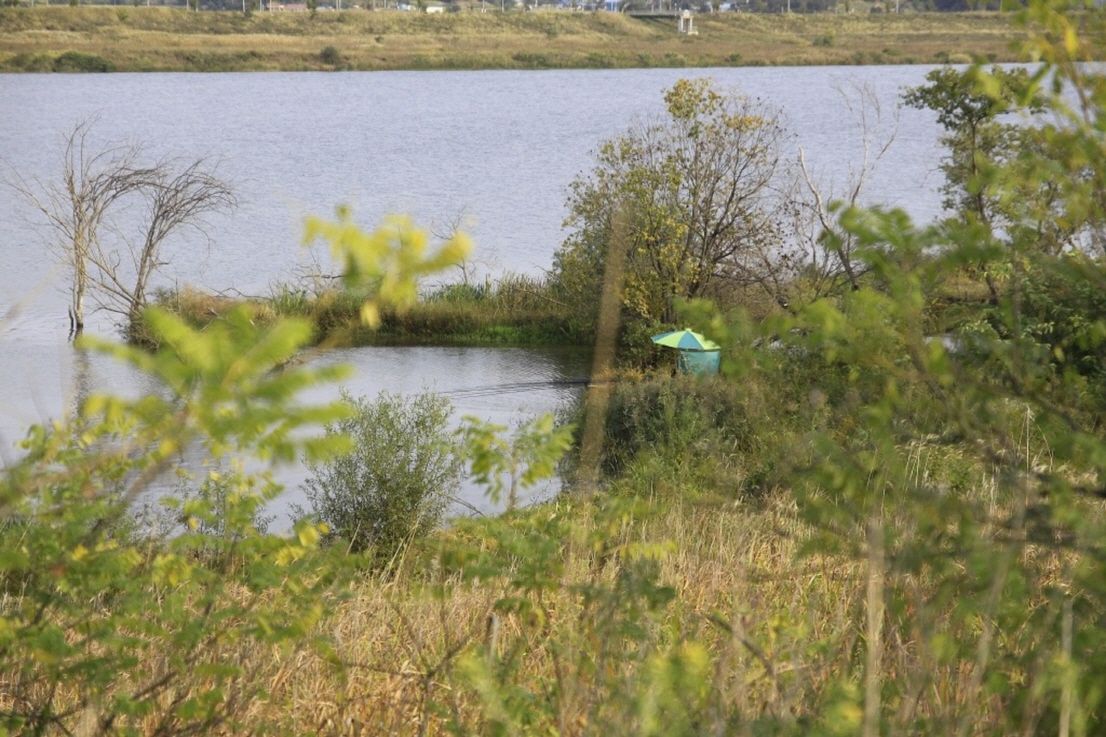145.jpg