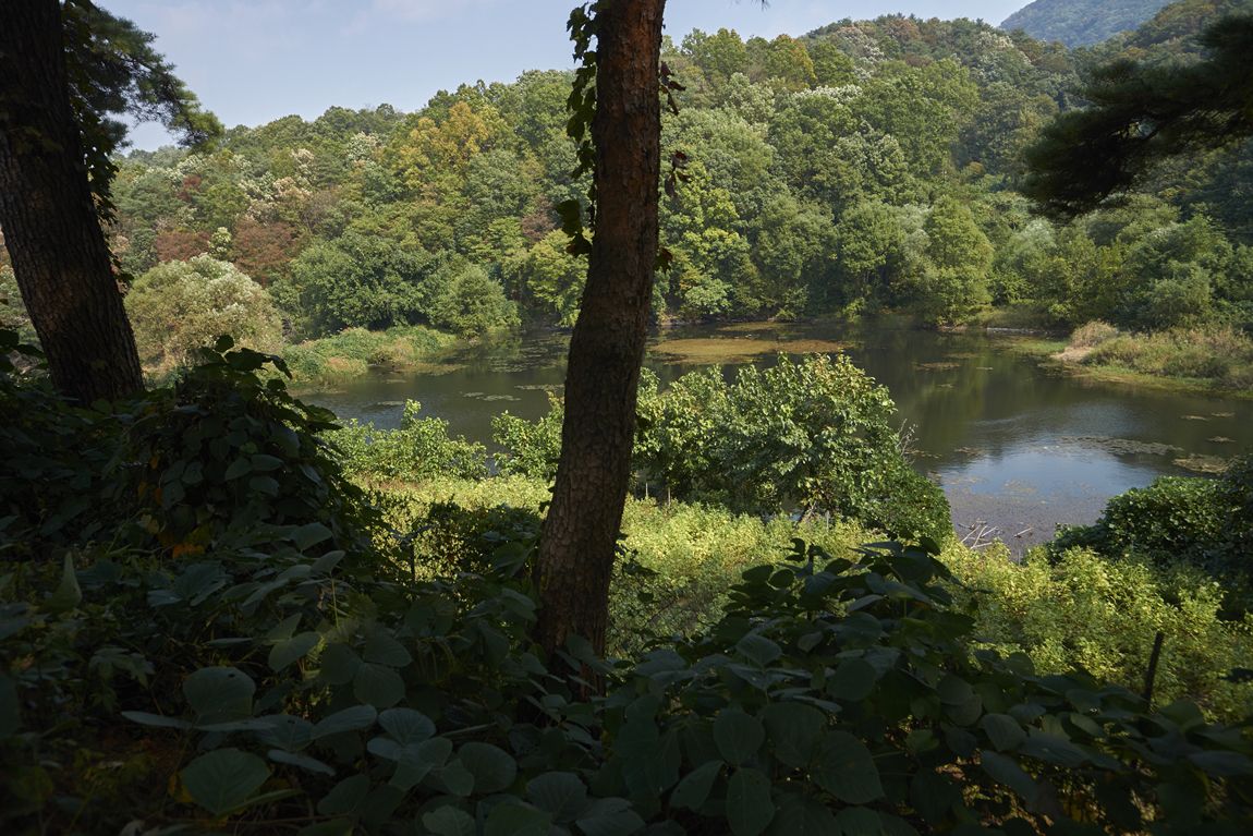 dcDSC06044.jpg