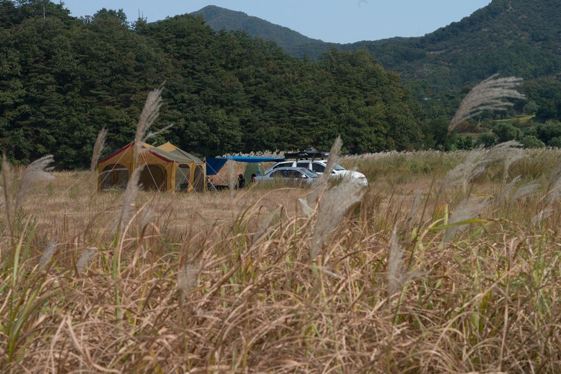 dcDSC06870.jpg