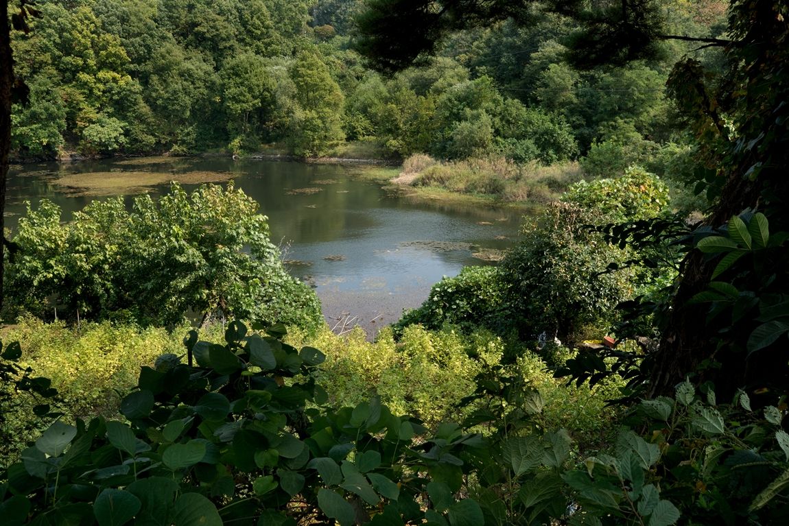 dcDSC03917-1.jpg