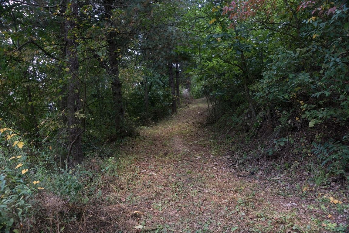 aaDSC02953.jpg