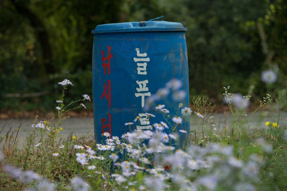 dcDSC05983.jpg