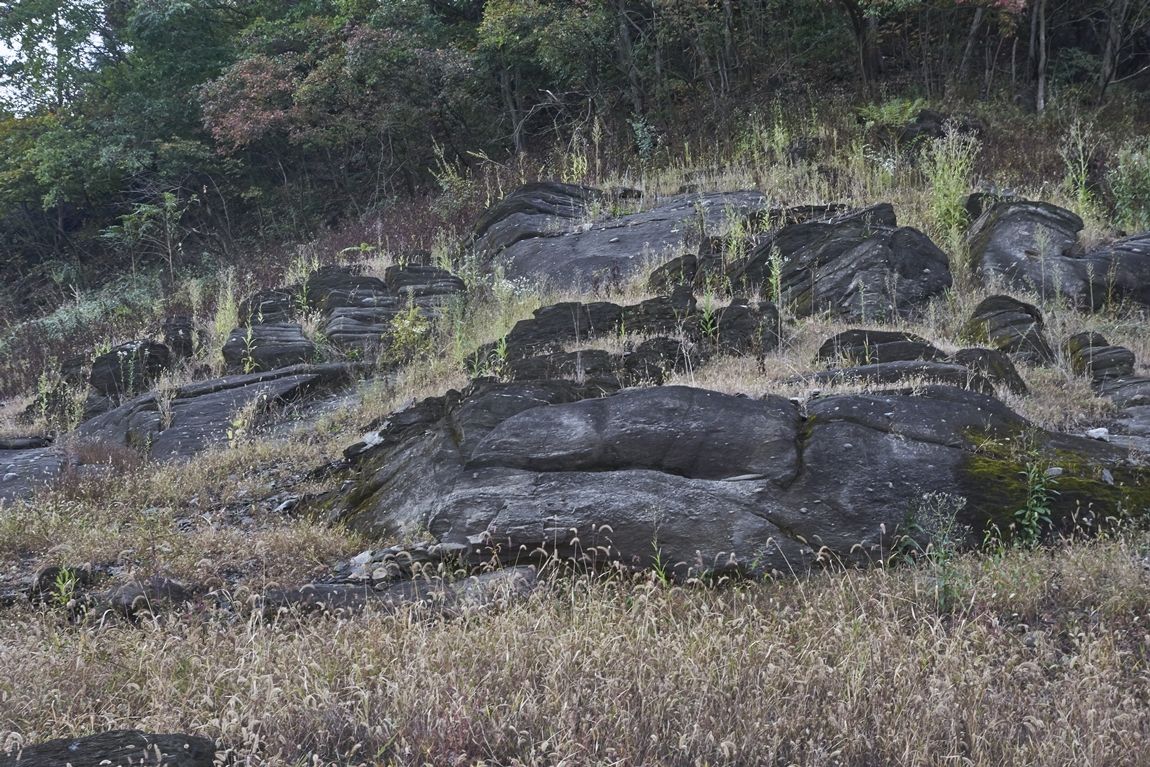 dcDSC04621_1.jpg