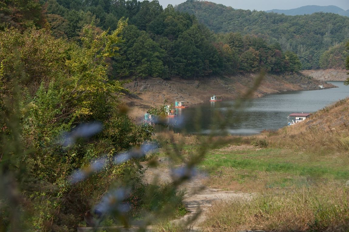 dcDSC01912.jpg