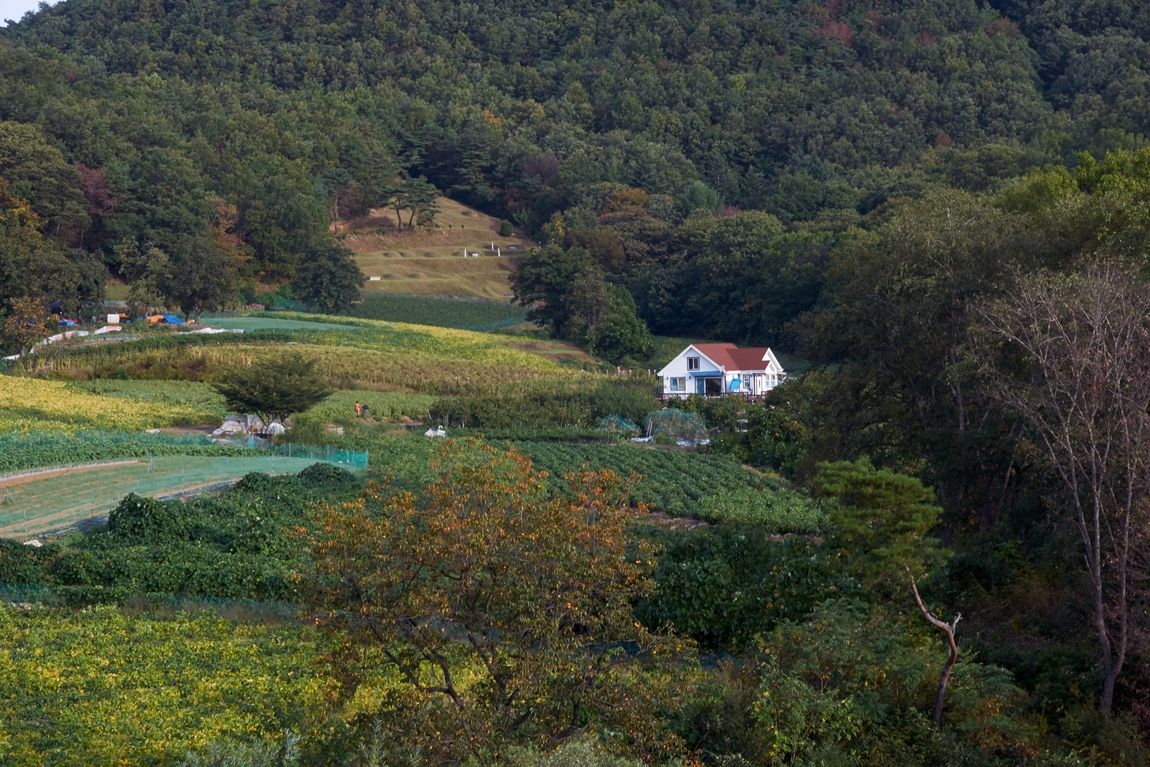 dcDSC04689_1.jpg