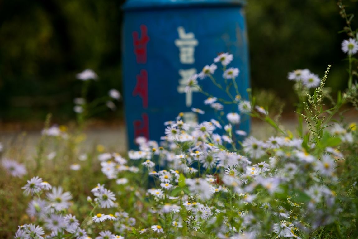 dcDSC05987.jpg