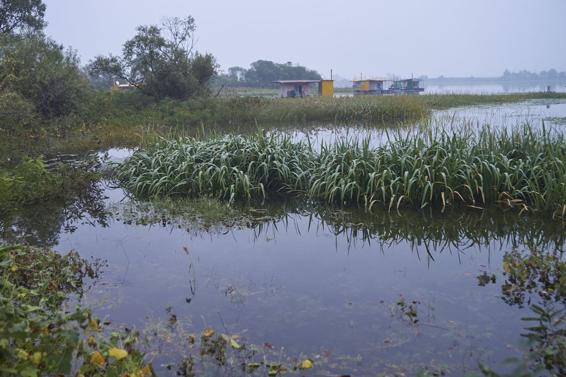 kDSC04913_1.jpg
