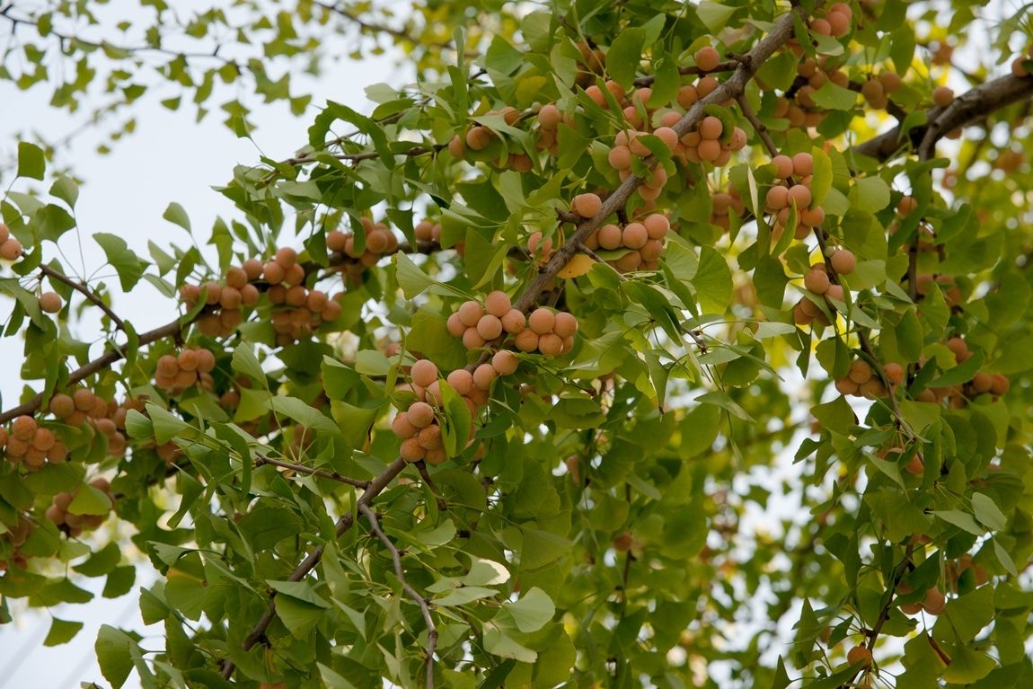 vDSC02905.jpg