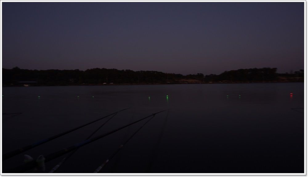 DSC08313.JPG