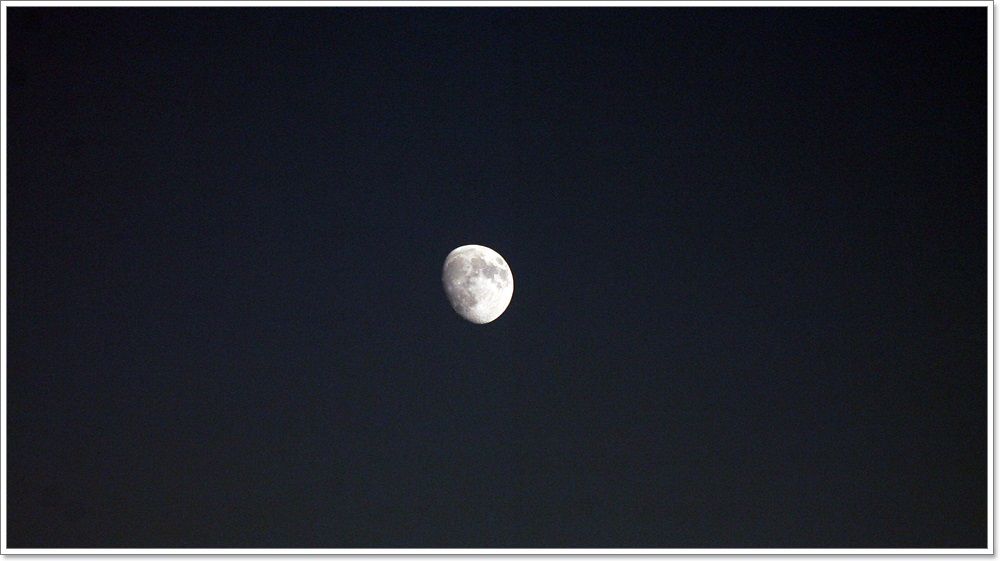 IMG_9791.JPG