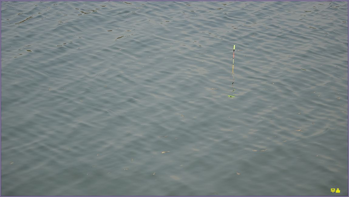 DSC00856.jpg