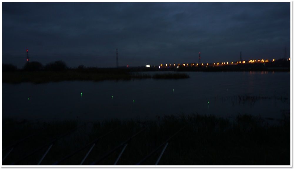 DSC08586.JPG
