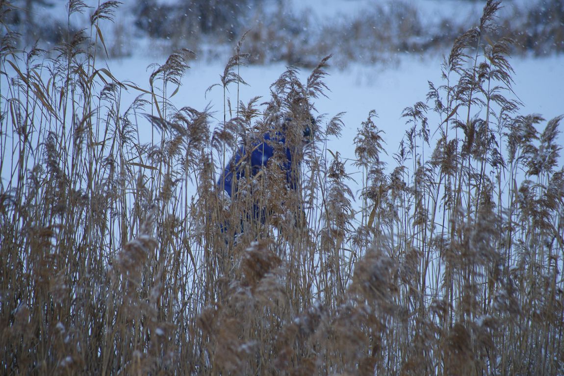 DSC02471.JPG