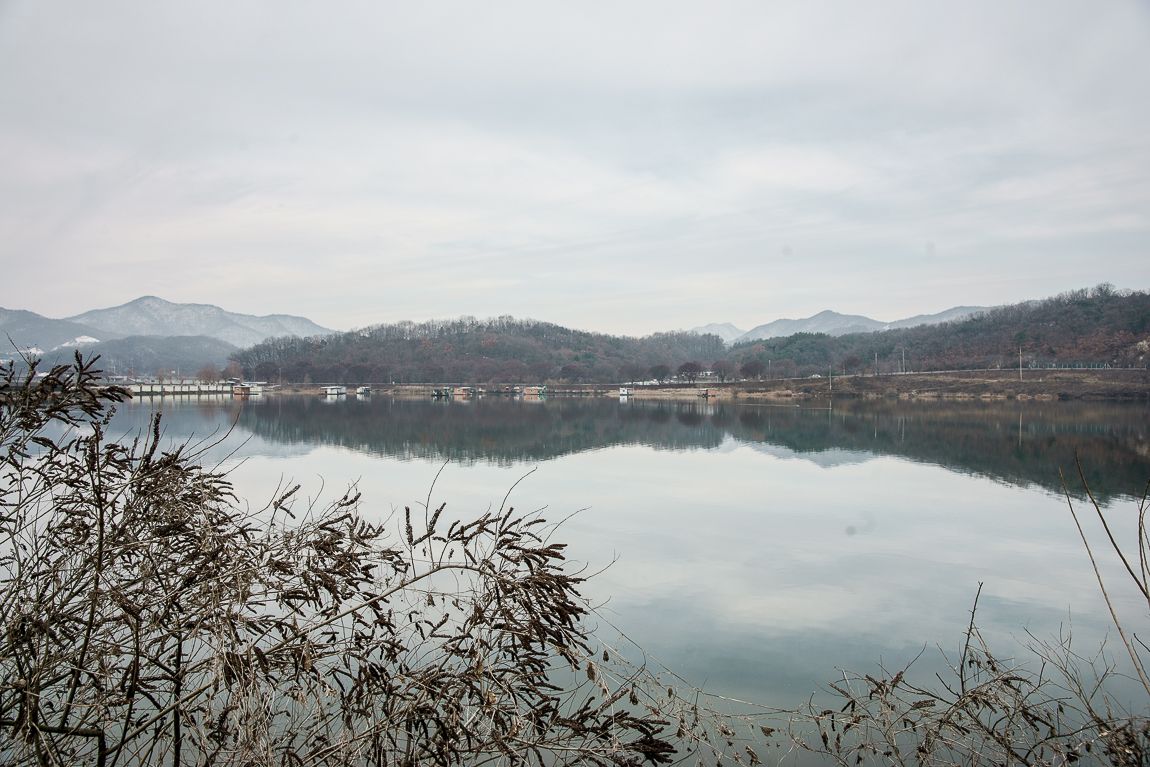 DSC06753.jpg