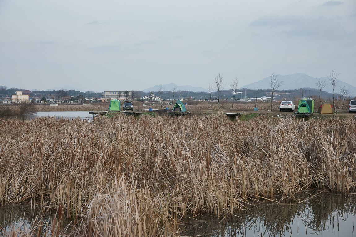 DSC06105.jpg