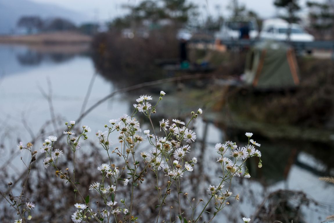 DSC09285.JPG
