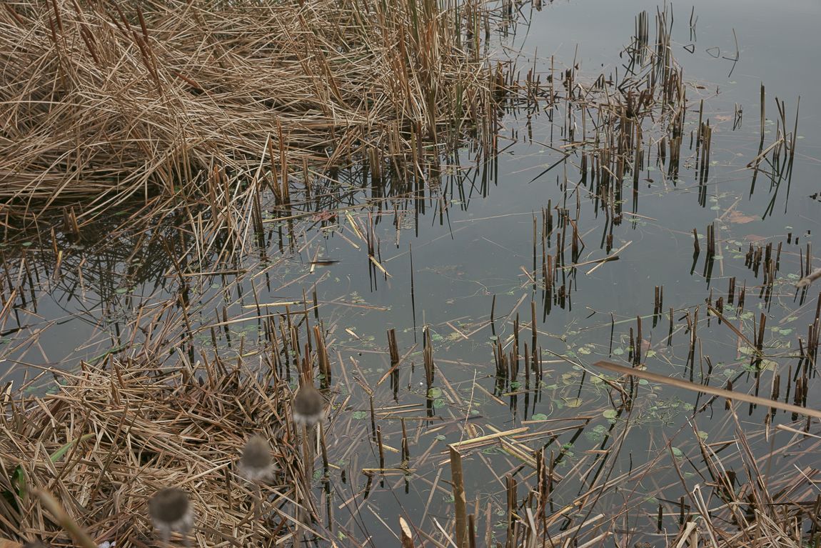 DSC06887.jpg