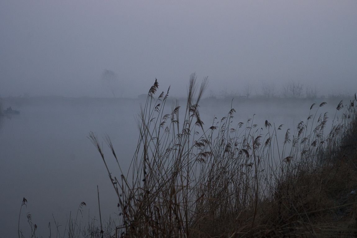 DSC00032.JPG