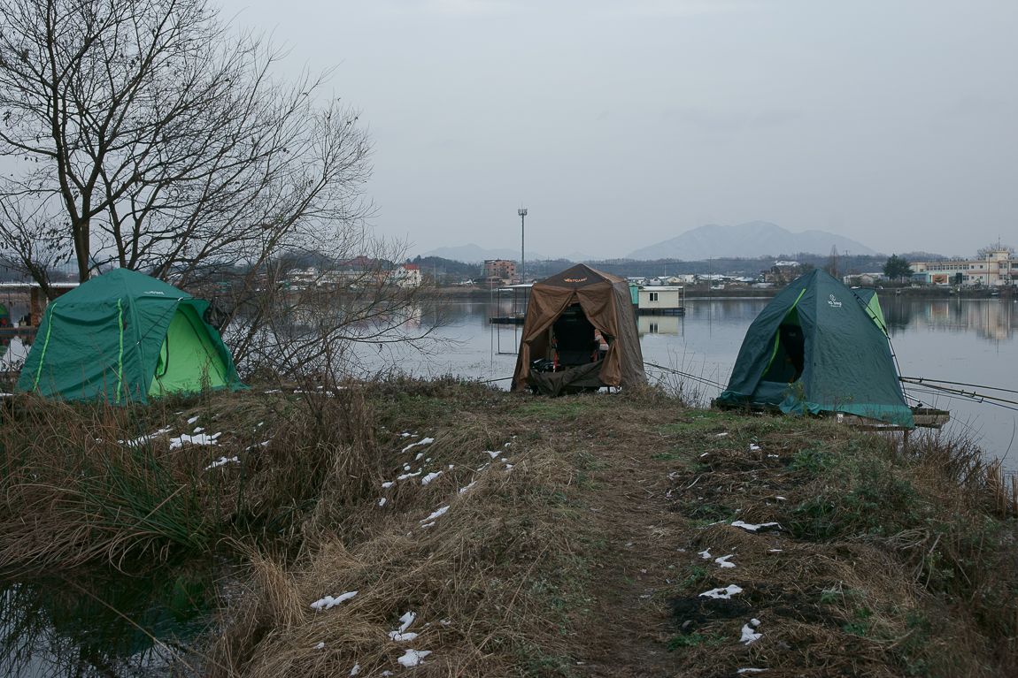 DSC06130.jpg