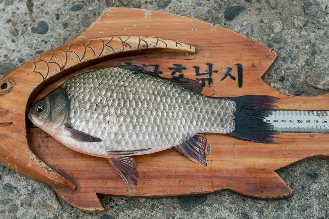 DSC06480.jpg
