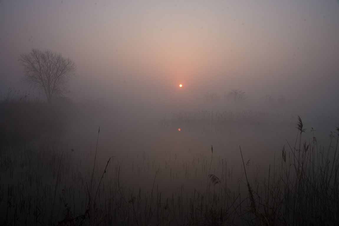 DSC00460.JPG