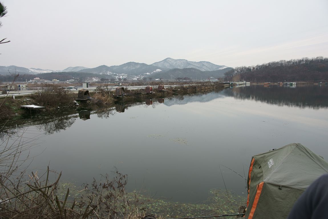 DSC06519.jpg