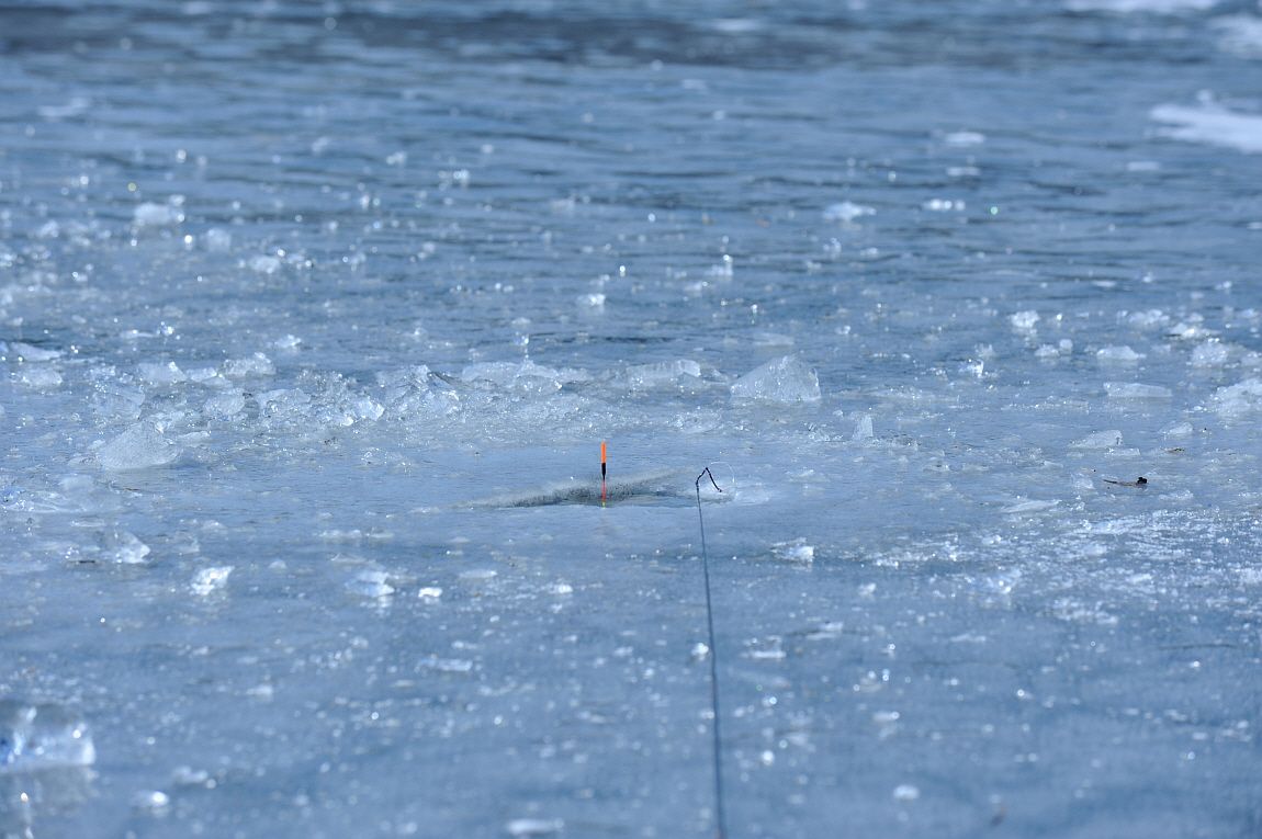 �ٹ̱�_�ݼ��� 053.JPG