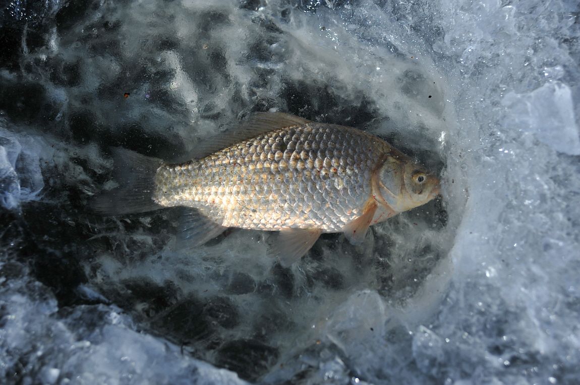 �ٹ̱�_�ݼ��� 024.JPG