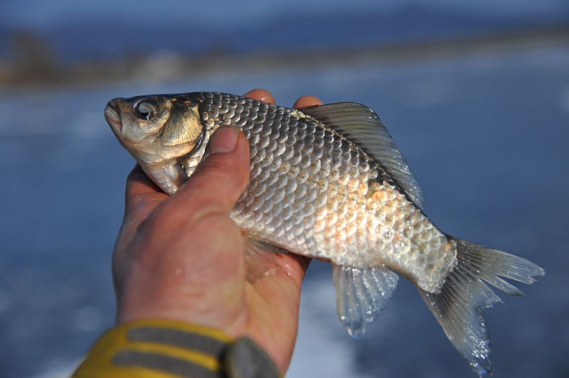 �ٹ̱�_�ݼ��� 090.JPG