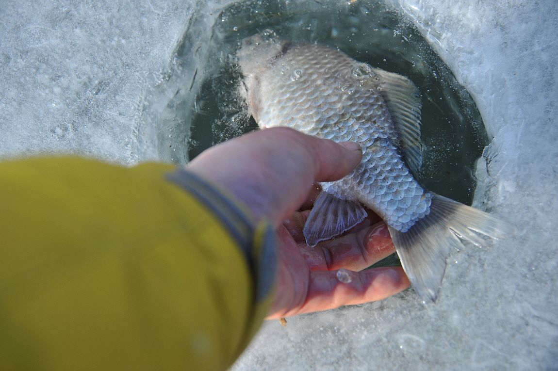 �ٹ̱�_�ݼ��� 094.JPG