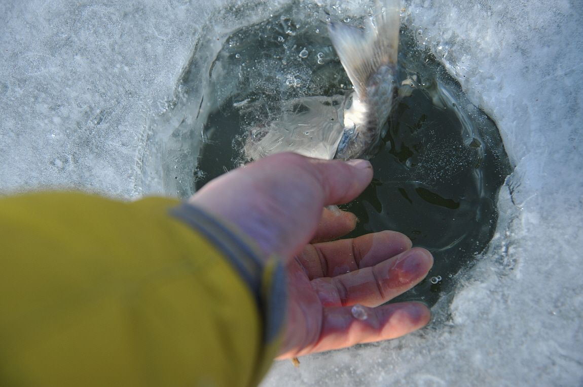 �ٹ̱�_�ݼ��� 095.JPG