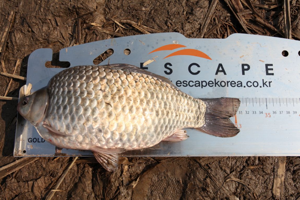 �׳״��� ���� Ȥ�θ� �ؾ�.JPG