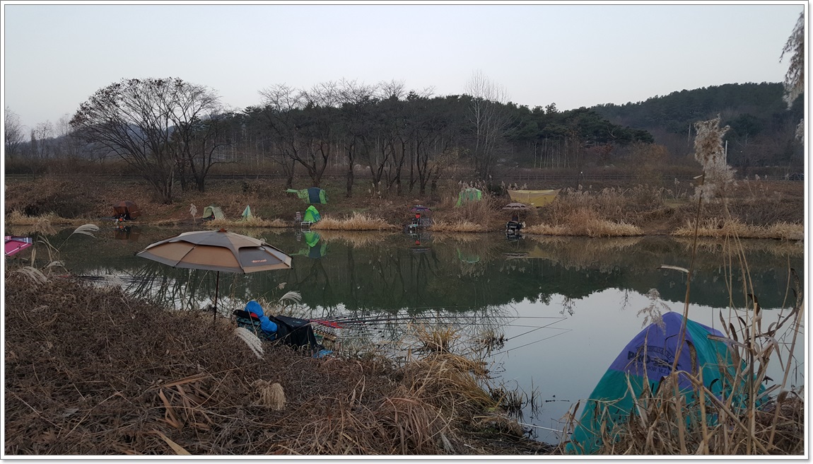 어신 > 국수리 샛수로에서의 2박 3일 : 낚시사랑