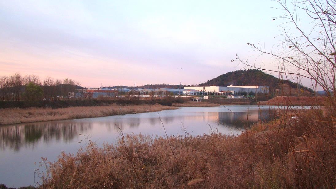 낙하산 > 낙하산의 낚시여행...(충남 당진 보덕포수로) : 낚시사랑