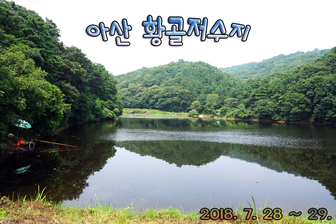 일산꾼 > 일산꾼의 피싱 다이어리-아산 황골저수지 : 낚시사랑