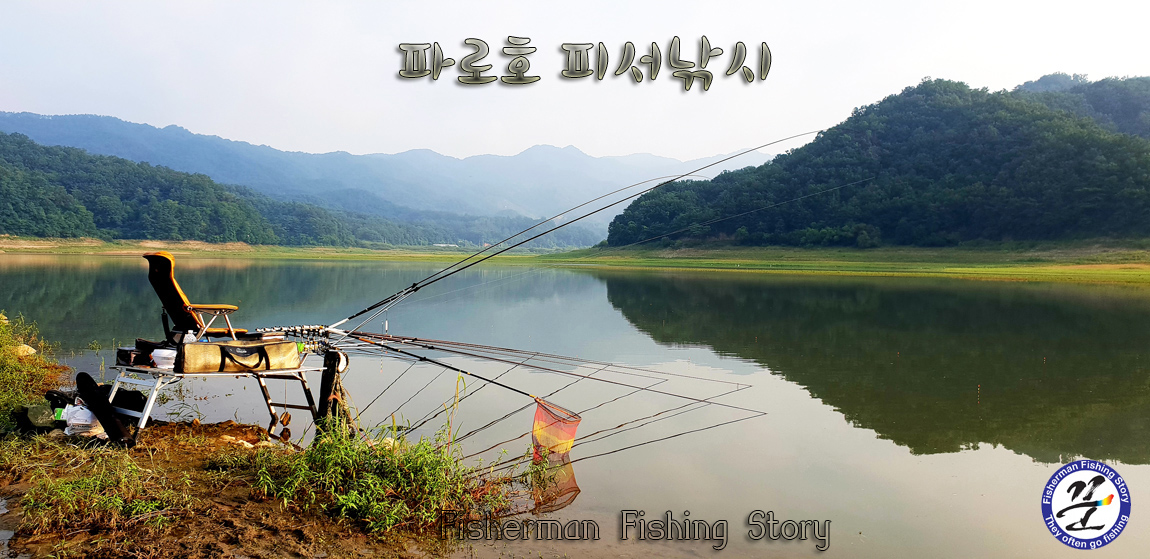 낙엽비 > 『파로호 피서(避暑)낚시』 : 낚시사랑