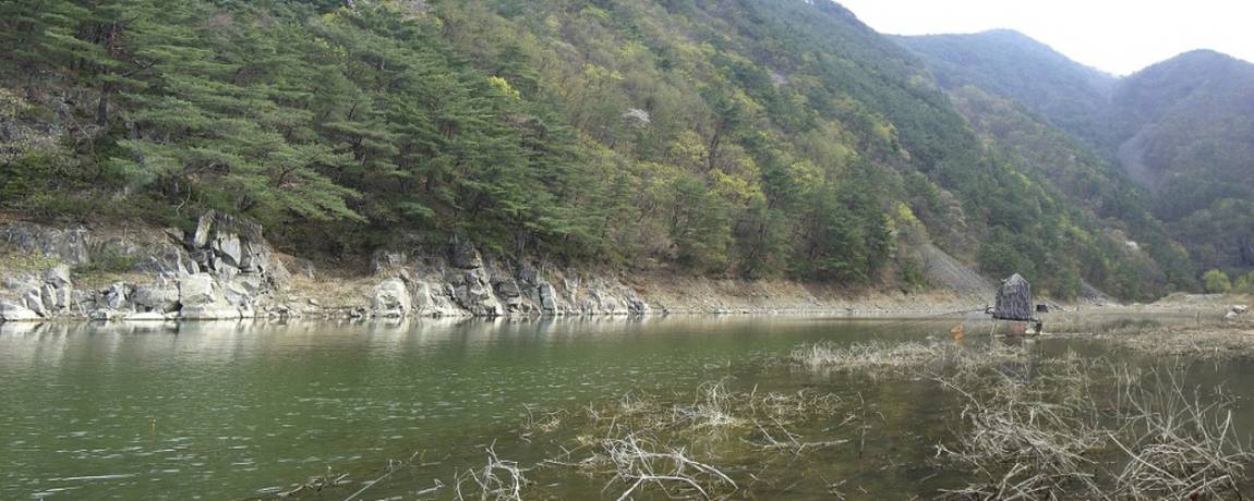 바다하늘산 > 충청권 소류지 탐사 ... 충주호 (忠州湖) ... 2020.4.11 ~ 4.13 ... : 낚시사랑