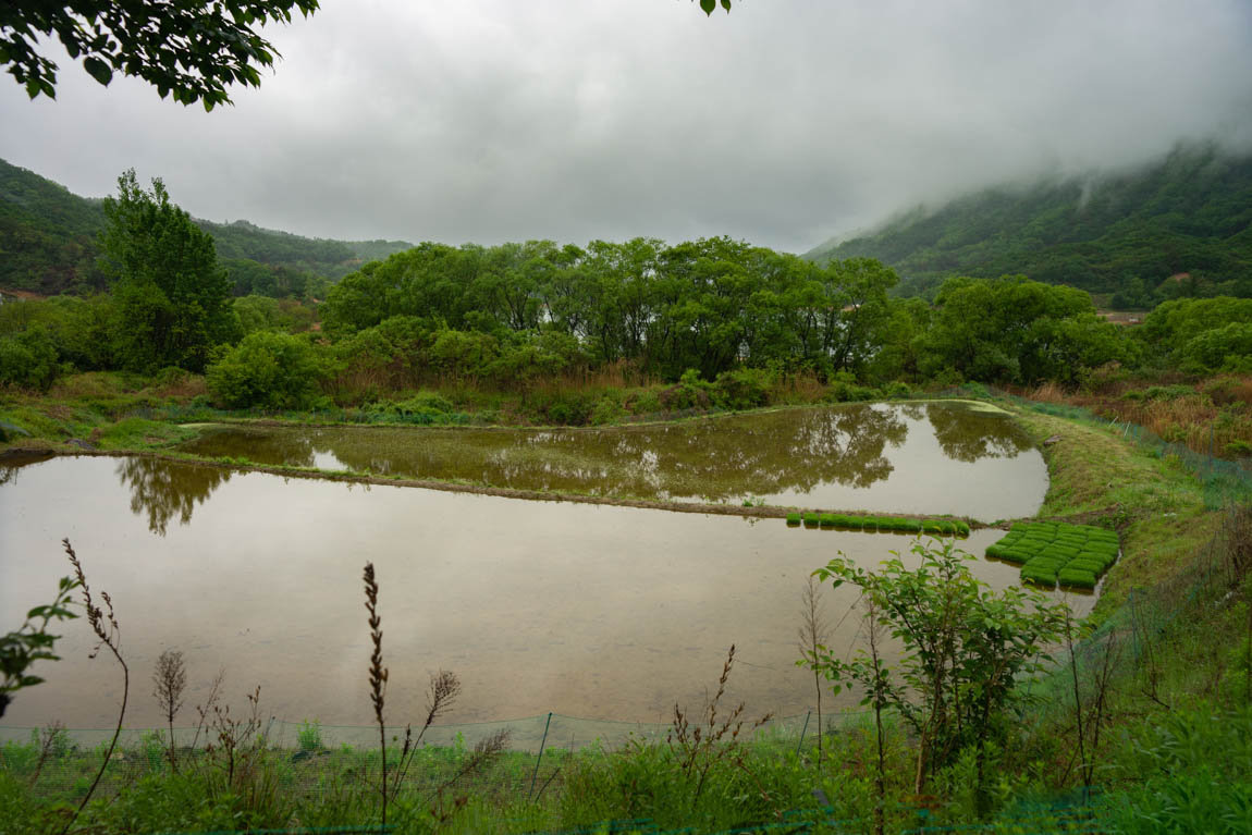 DSC08565.jpg