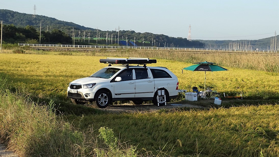 낙하산 > 낙하산의 낚시여행...(충남 서산 대산1번수로 상류권) : 낚시사랑