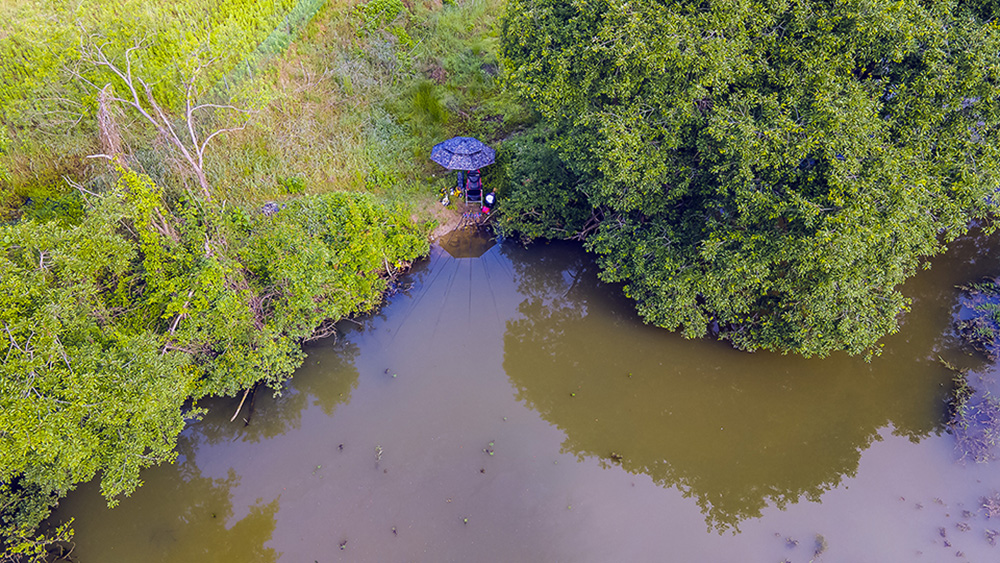20-DJI_0347.jpg