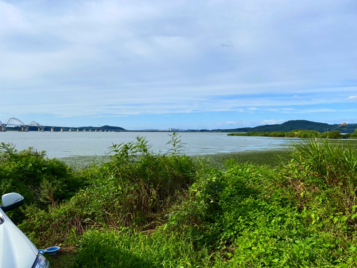 IMG_241731.jpg