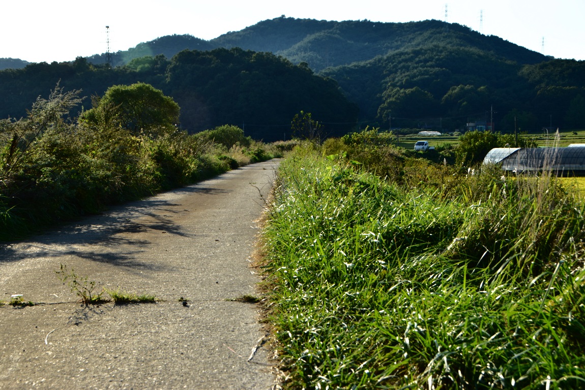 DSC_0071과1.jpg