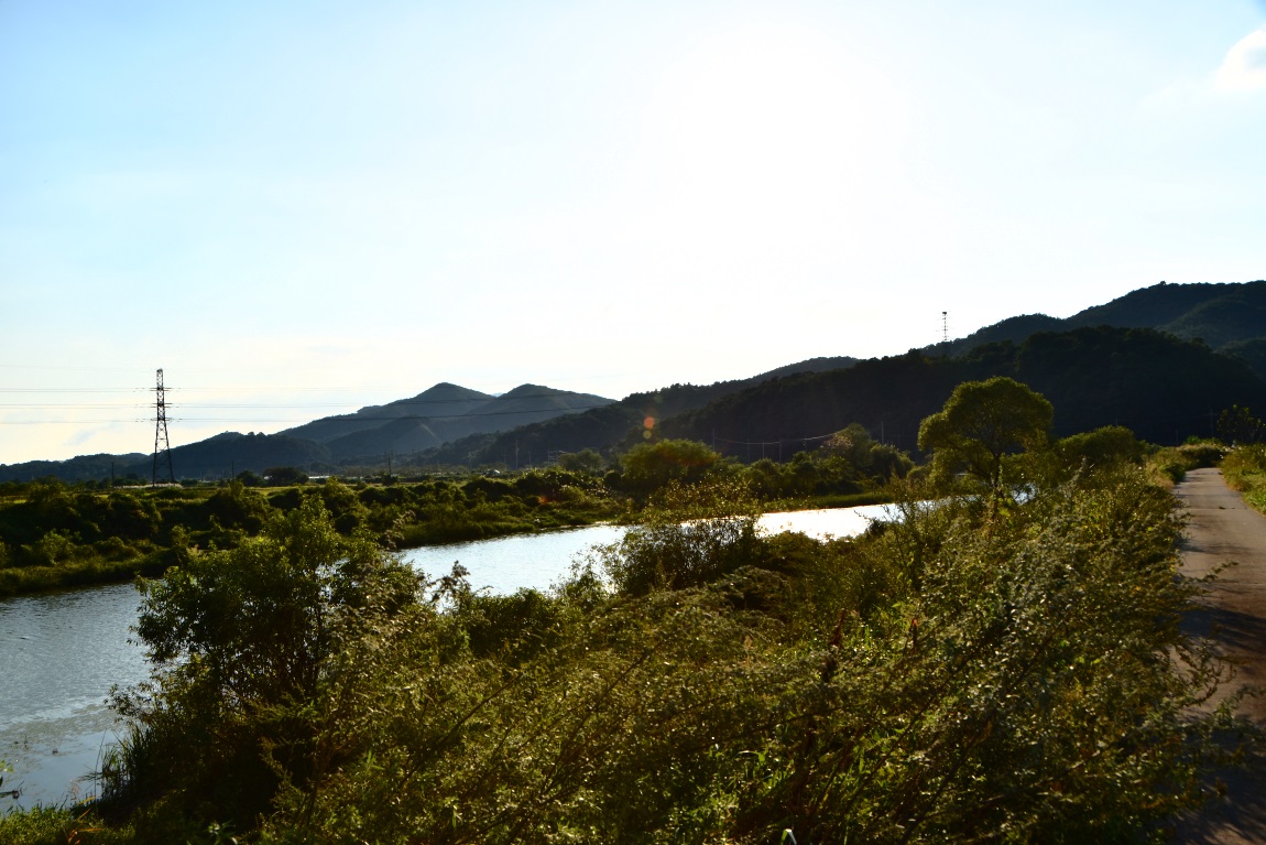 DSC_0073광1.jpg