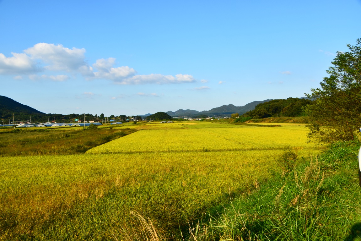 DSC_0075광1.jpg