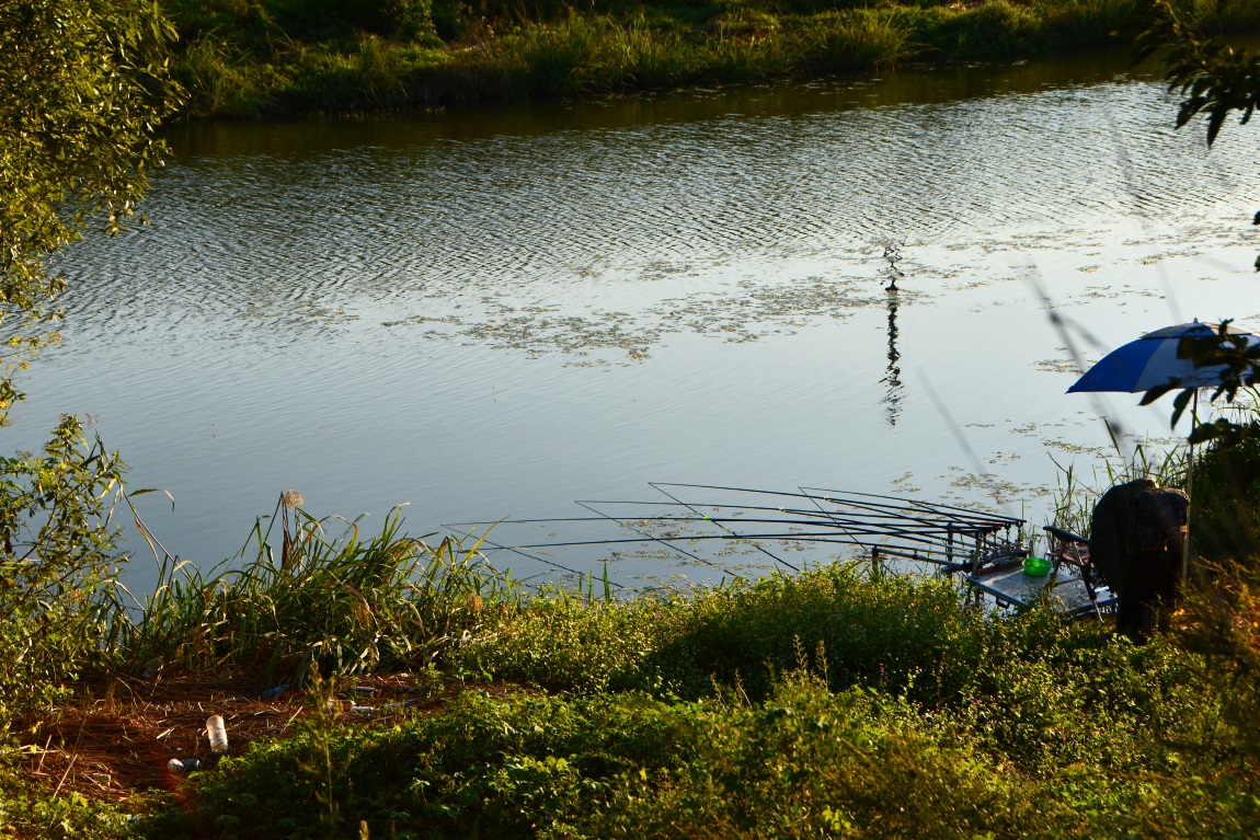 DSC_0079광1.jpg