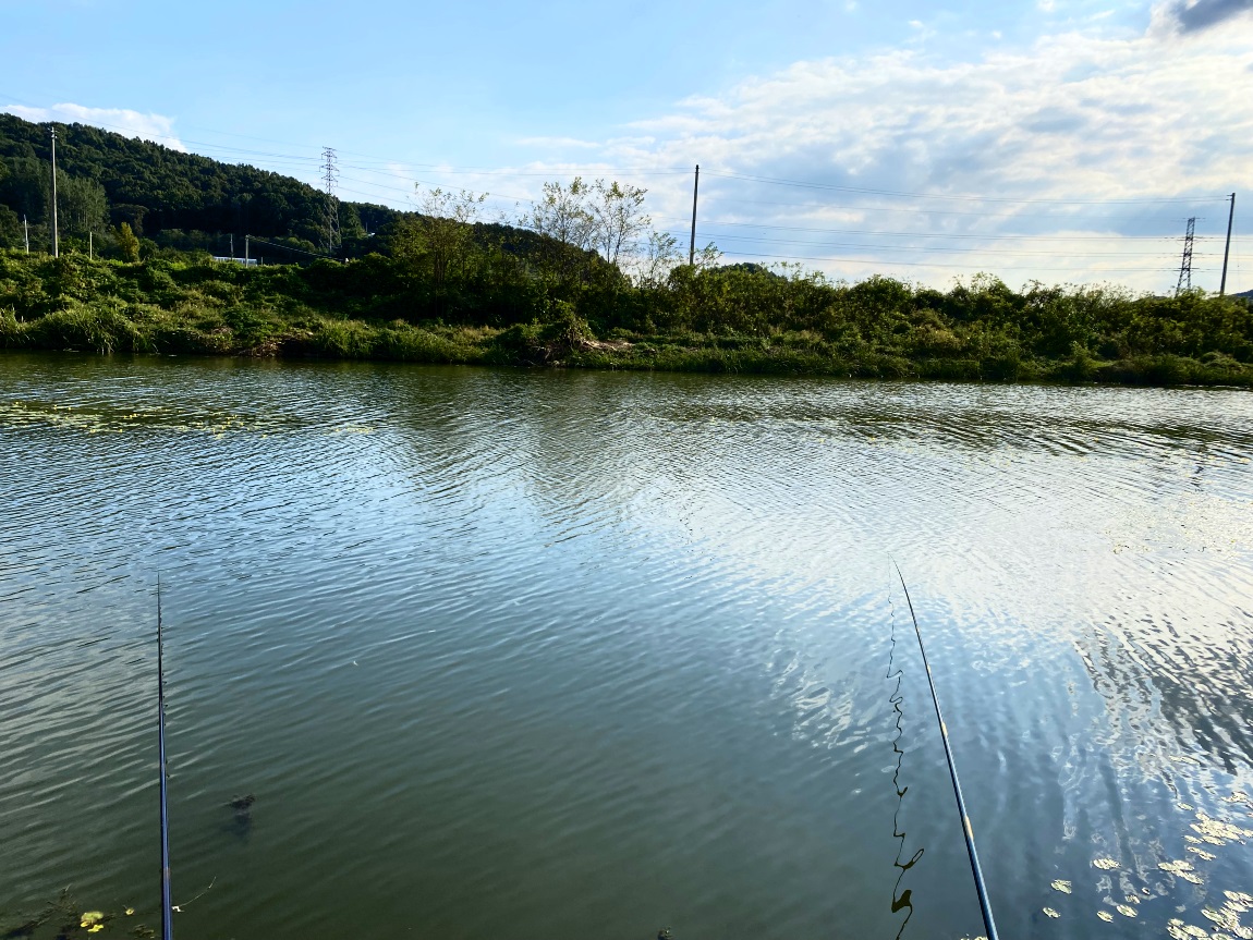 IMG_2504광1.jpg