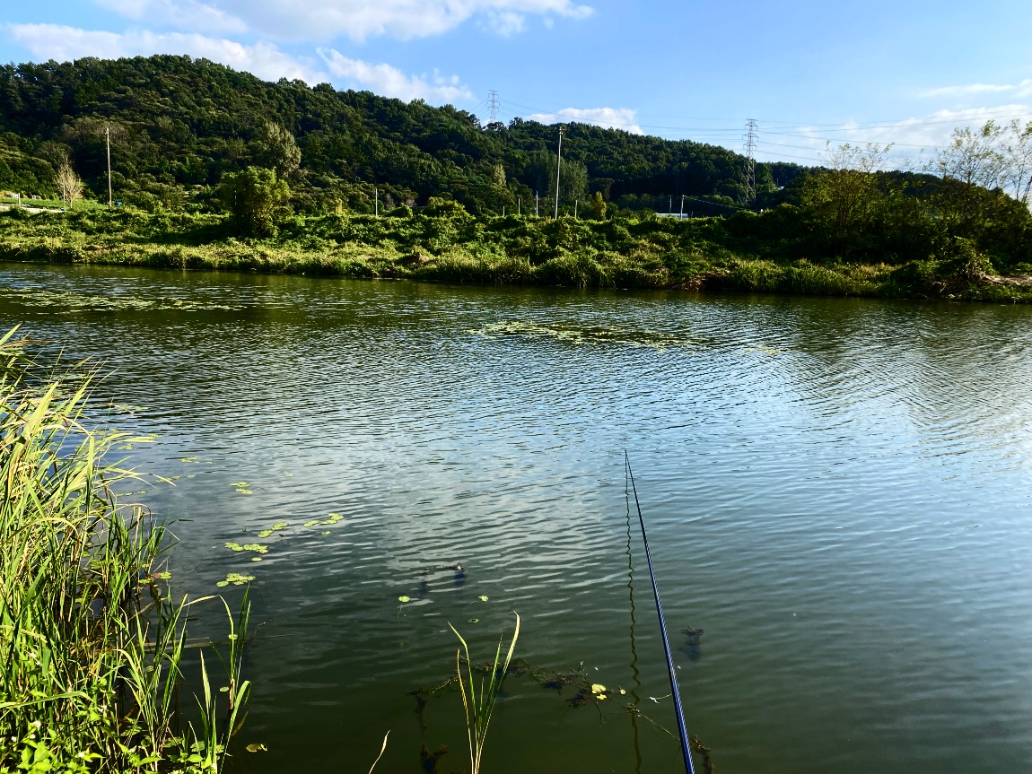 IMG_2503광1.jpg