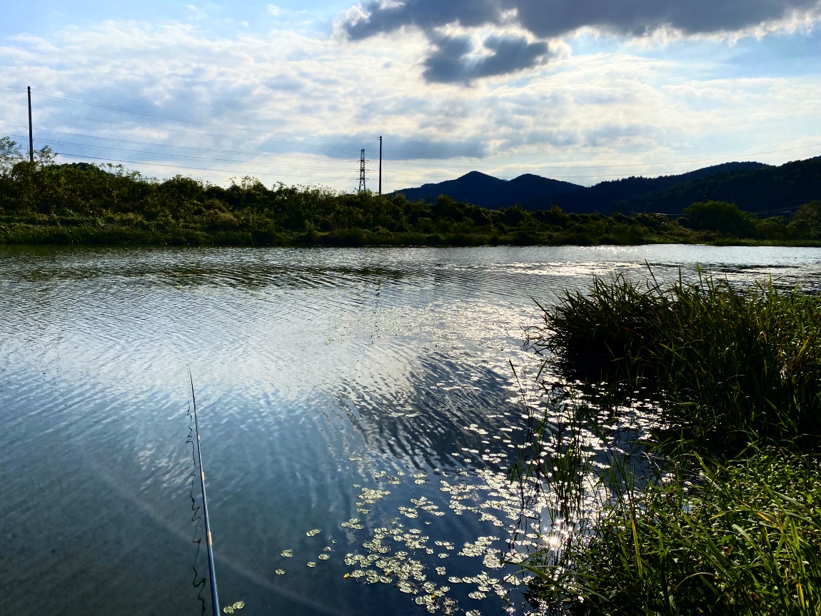 IMG_2505광1.jpg