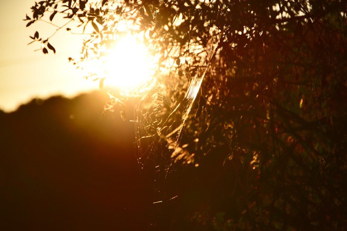 DSC_0089광1.jpg